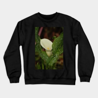 Calla Lily White Spotted Leaves Crewneck Sweatshirt